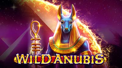 Wild Anubis